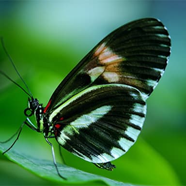 gallery-img-13