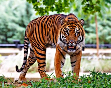 gallery-img-3